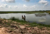 Le cholangiocarcinome, un parasite à l'origine d'un cancer du foie est fréquent dans les eaux du bassin du Mékong dans le nord-est de la Thaïlande