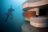 Des plongeurs déposent des récifs artificiels  "hôtel à poissons" d'une dizaine de tonnes à 30 mètre de profondeur dans les eaux usées au large des calanques de Marseille, le 30 janvier 2018