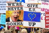 Des manifestants agitant des pancartes hostiles au Brexit, à Londres le 19 octobre 2019
