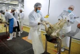 Des hommes abattent des moutons dans les règles de l'Islam et de l'hygiène à l'occasion de l'Aïd el-Adha, la fête du sacrifice, dans un abattoir du Mans dans la Sarthe, le 4 octobre 2014