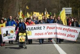 Manifestation anti-nucléaire, le 12 mars 2017 à Fessenheim dans le Haut-Rhin