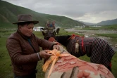 Un Tibétain prépare sa monture pour une course de chevaux le 26 juillet 2016 sur le plateau de Yushu dans la province chinoise du Qinghai