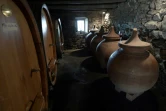 Des jarres en terre cuite "dolia" sont utilisées pour faire du vin dans le chais des viticulteurs Riouspeyrous à Irouleguy, (sud-ouest), le 12 octobre 2017