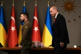 Le président ukrainien Volodymyr Zelensky et son homologue turc Recep Tayyip Erdogan, le 7 juillet 2023 à Istanbul