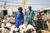 Des bergers surveillent leur moutons dans l'un des principauxx marchés aux bestiaux de Dakar, à Pikine, le 7 juillet 2021.