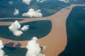 Vue aérienne du fleuve Amazone au Brésil le 12 décembre 2013