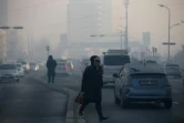 Une femme marche dans une rue d'Oulan-Bator un jour de pollution, le 14 février 2019