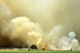 Un incendie ravage les abords du stade de cricket de la ville australienne de Perth, le 13 décembre 2019 