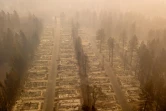 Un quartier de Paradise, en Californie, ville quasiment rayée de la carte par le gigantesque incendie "Camp Fire", le 15 novembre 2018 