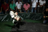 Des personnes assistent à un combat de coqs pendant le carnaval dans le village de San Juan de Micay, dans le canyon de Micay, le 23 mars 2024 en Colombie