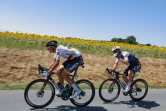 L'Allemand Nils Politt, suivi du Danois Mikkel Honore, échappés lors de la 15e étape du Tour de France entre Rodez et Carcassonne, le 17 juillet 2022