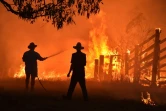 Des habitants de la petite ville australienne de Hillville, près de Taree, à 350 km au nord de Sydney, tentent de défendre leurs maisons contre l'arrivée d'un feu de brousse, le 12 novembre 2019