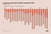 La perte de couverture forestière mondiale en 2024