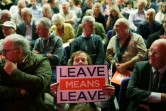 Manifestants pro-Brexit de l'organisation Leave Means Leave à Londres le 14 décembre 2018