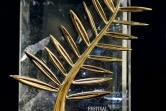 La Palme d'or du festival de Cannes présentée dans un atelier du joaillier Chopard à Meyrin, près de Genève, le 11 novembre 2015