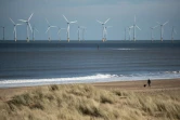 La plage près d'Hartlepool, le 8 mars 2017
