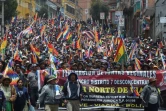 Des partisans de l'ex-président bolivien Evo Morales manifestent à La Paz le 14 novembre 2019