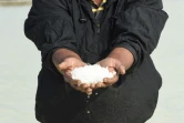 Le paludier indien Raju Rupabhai Thakor montre des cristaux de sel, le 8 janvier 2021, dans les marais salants de Kharaghoda, près d'Ahmedabad