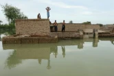 Des habitants bloqués par les inondations attendent de l'aide à Dera Ghazi Khan, dans la province du Punjab, le 29 août 2022 au Pakistan