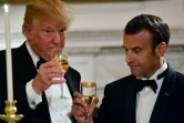 Donald Trump (G) et Emmanuel Macron (D) portent un toast lors d'un diner à la Maison Blanche à Washington, DC, le 24 avril 2018