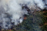 Vue aérienne d'un incendie dans la forêt amazonienne, à environ 65 kilomètres de Porto Velho, dans l'Etat brésilien de Rondonia, le 23 août 2019