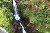 Le lieu où a été retrouvé Amanda Eller le 24 mai 2019, dans la Makawao Forest Reserve sur l'île Maui dans l'archipel d'Hawaï 