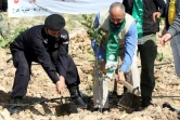 Des Jordaniens plantent un arbre le 11 février 2021 près de la forêt de Kufranjah, dans le gouvernorat d'Ajloun, à 70 km au nord d'Amman, en Jordanie