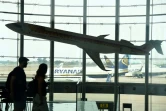 La grève a été organisée malgré les menaces de Ryanair de supressions de vols et d'emplois