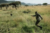 Dans la savane kényane, le chien est le meilleur ami des animaux menacés par le braconnage
