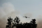 Un bombardier d'eau survole un feu de forêt près de Le Tuzan, le 27 juillet 2020 en Gironde