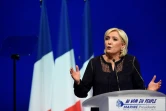Marine Le Pen en meeting le 18 mars 2017 à Metz