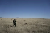 Le garde-frontière Jose Solis piste la trace de clandestins avec le chien renifleur Max, un berger malinois