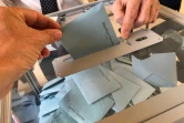 Vote d'un expatrié français pour les européennes, à l'ambassade de France de Washington, le 25 mai 2019