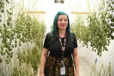 Nicole Salisbury, propriétaire du magasin de marijuana Green Pearl Organics à Desert Hot Springs, en Californie, le 1er janvier 2018
