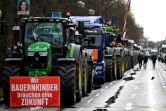Manifestation d'agriculteurs à Berlin, le 15 janvier 2024