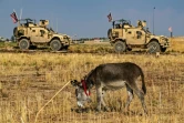 Un convoi américain passe devant un âne dans le nord-est de la Syrie près d'al-Qahtanyiah, le 31 octobre 2019