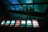 L'aquarium de La Réunion à Saint-Gilles