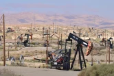 Des puits de pétrole à perte de vue, près de la ville de Taft en Californie, le 21 septembre 2023