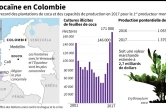 Chiffres clés sur la culture des feuilles de coca et la capacité de production de cocaïne en Colombie selon l'ONUDC