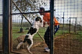 Un détenu de la prison de haute sécurité de Monsanto s'occupe d'un chien, le 24 octobre 2016 à Lisbonne, au Portugal