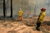 Des pompiers combattent un feu de forêt près de Batemans Bay dans l'Etat de Nouvelles Galles du Sud, en Australie, le 3 janvier 2020