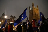 Des opposants au Brexit manifestent à Londres le 29 janvier 2019