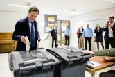 Le Premier ministre des Pays-Bas Mark Rutte, le 20 mars 2019 dans un bureau de vote à La Haye