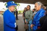 La reine Elizabeth II s'est rendue sur place vendredi  16 juin 2017 au matin, saluant les secouristes et les résidents. 
