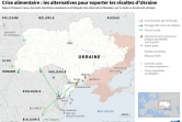 Crise alimentaire : les alternatives pour exporter les récoltes d'Ukraine