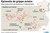 Epizootie de grippe aviaire