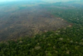 Des zones de déforestation de la forêt amazonienne, le 24 août 2019 près de Boca do Acre, au Brésil