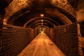 La cave de la maison Bollinger, le 2 décembre 2020 à Ay, près d'Epernay, en France