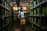 Grace Swe Zin Htaik, ex-actrice birmane, dans un local de stockage de bobines de vieux films birmans des archives d'Etat, le 15 mai 2018 à Rangoun