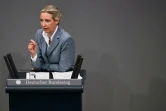 Alice Weidel, co-présidente du parti d'extrême droite Alternative pour l'Allemagne (AfD) au Bundestag à Berlin le 13 mars 2025
